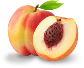 Peach Slice Png Truly Peach PNG images