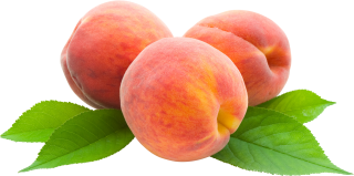 Peaches Free Tranparent Png PNG images