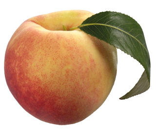 Peaches PNG Transparent PNG images
