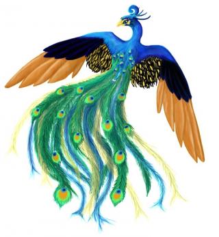 High Resolution Peacock Png Icon PNG images