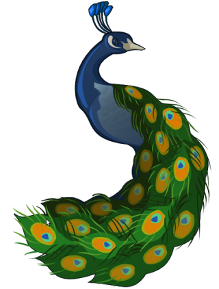 Clip Art Peacock PNG images