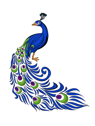 Image Collections Png Best Peacock PNG images