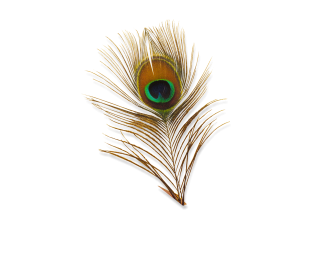 Peacock PNG Transparent Image PNG images