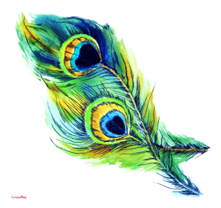 File Peacock PNG PNG images