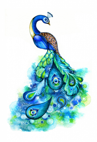 Clipart Peacock Pictures Free PNG images