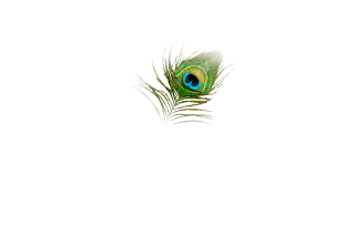 Hd Peacock Image In Our System PNG images