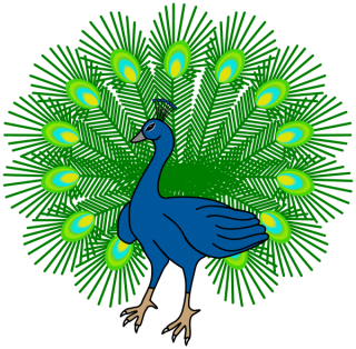 Download Images Free Peacock PNG images