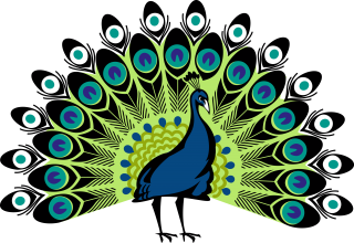 Png Format Images Of Peacock PNG images