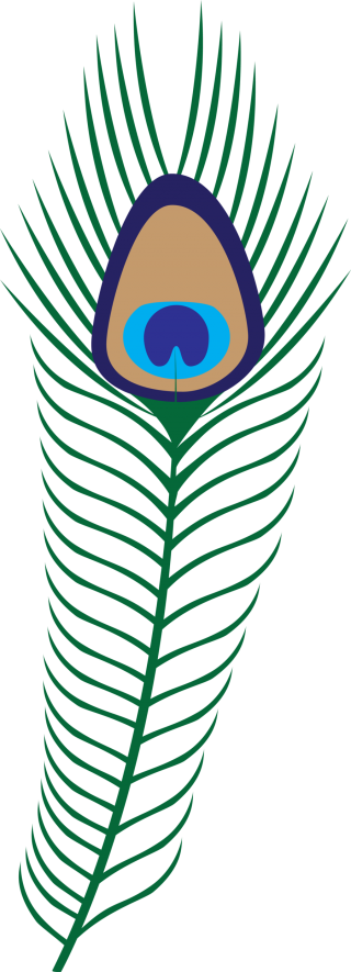 Peacock Vector Png PNG images