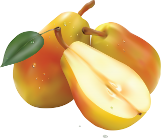 PNG Pear HD PNG images