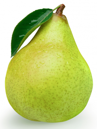 Free Download Pear Png Images PNG images