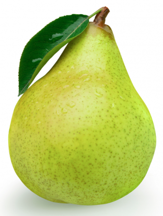 Pear PNG, Pear Transparent Background - FreeIconsPNG