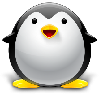 Transparent Png Penguin PNG images