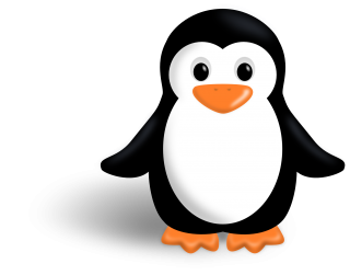 PNG Pic Penguin PNG images