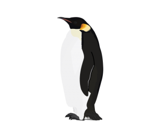 Roblox Penguin PNG Image With Transparent Background