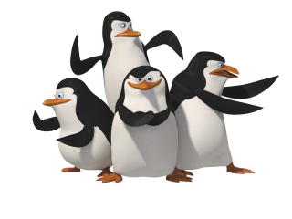 Penguin Vector Download Free Png PNG images