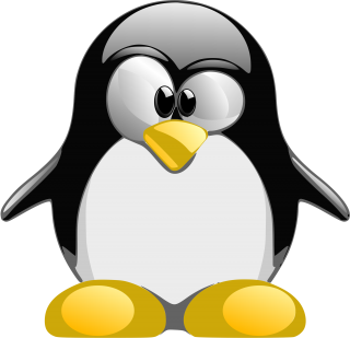Penguin Image Best Collections Png PNG images