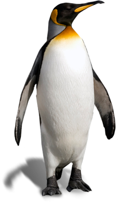 Roblox Penguin PNG Image With Transparent Background