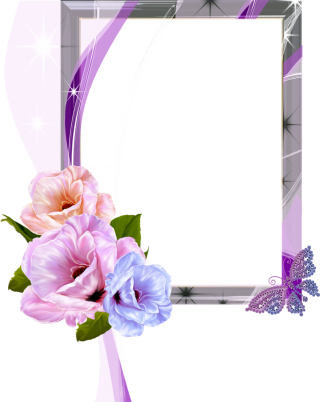 Floral Photo Frame Png PNG images