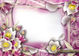 Floral Photo Frame Png PNG images