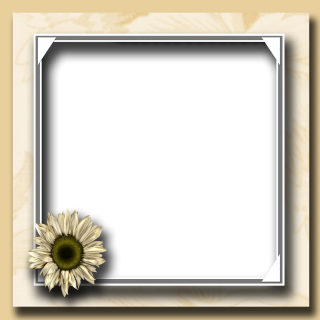 Flower Photo Frame Png PNG images