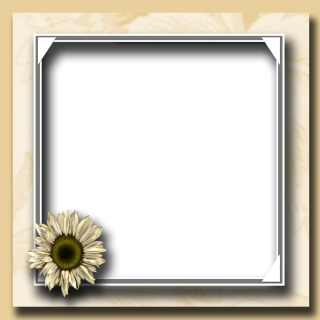 Photo Frame Png - Phutthamonthon Transparent PNG - 621x870 - Free Download  on NicePNG