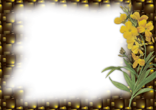 Flower Photo Frame Png PNG images