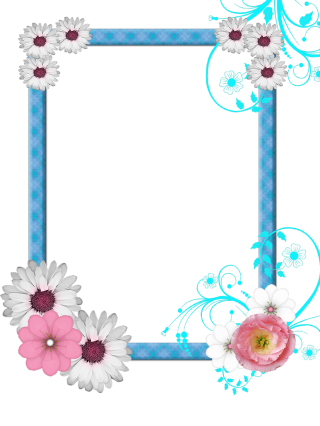 Free Pictures Clipart Photo Frame PNG images