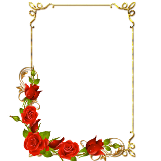 Rose Photo Frame Png PNG images