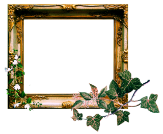 Vintage Photo Frame Png PNG images