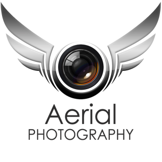 Free Aerial Photography Wings Silver Logo Png PNG images