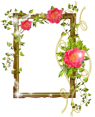 Flower Frame Photoshop Background Png PNG images