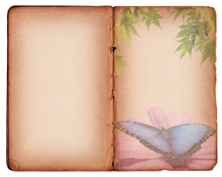Old Book Photoshop Background Png PNG images