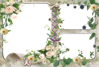 Photo Frame Photoshop Background Png PNG images
