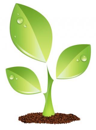 Ecology, Flower, Garden, Leaf, Leaves, Plant Icon PNG images