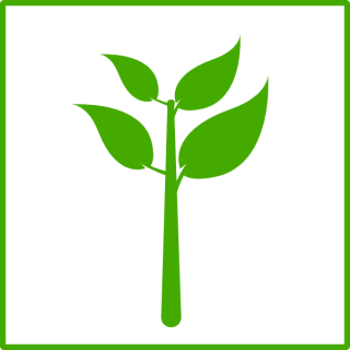 Free High-quality Plant Icon PNG images