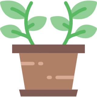 Free Image Icon Plant PNG images