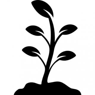 Png Icon Plant Free PNG images