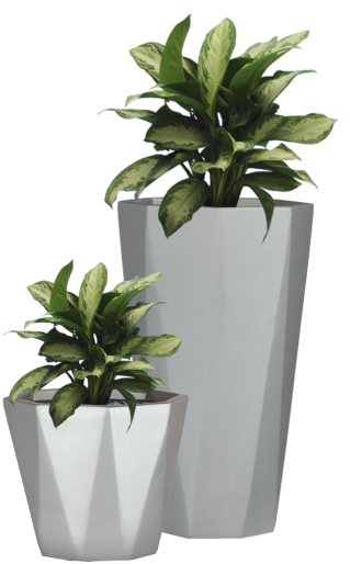 Potted Plant Png Pictures PNG images