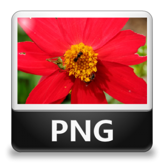 Png File Type Icon PNG images