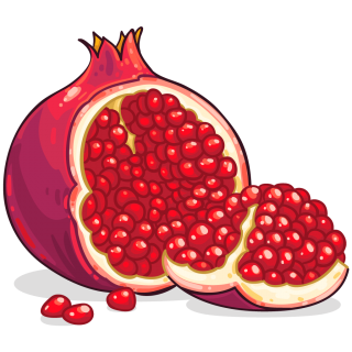 Icon Free Download Pomegranate Vectors PNG images