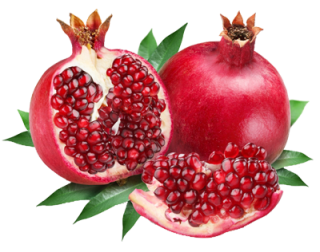 Pomegranate PNG Download Free PNG images