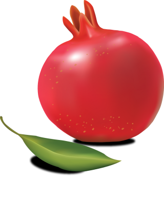 Images Best Free Pomegranate Clipart PNG images