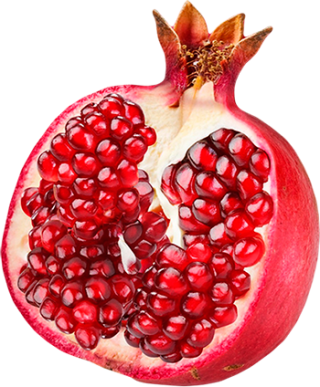 Free Download Pomegranate Png Images PNG images