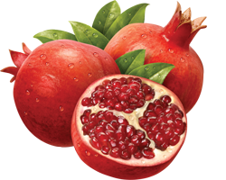 Png Image Pomegranate Collections Best PNG images