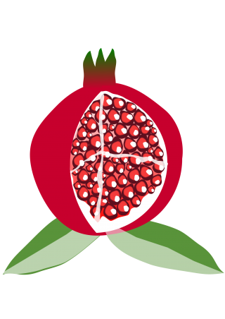 Pomegranate Png Available In Different Size PNG images