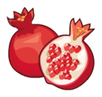 Pomegranate Png Available In Different Size PNG images