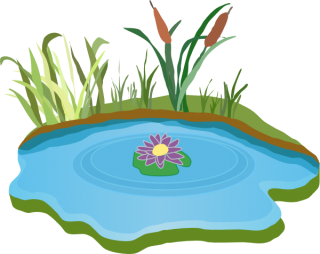 Get Pond Png Pictures PNG images