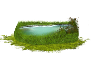 Photo Pond PNG PNG images