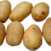 Transparent Png Background Potato PNG images
